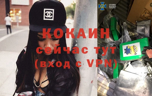 стаф Ивангород