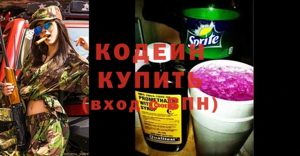 дурь Алексин