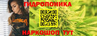 прущие грибы Берёзовский