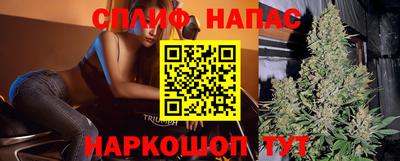 МДПВ Дубна