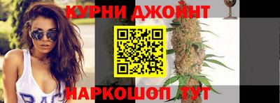 МДПВ Дубна