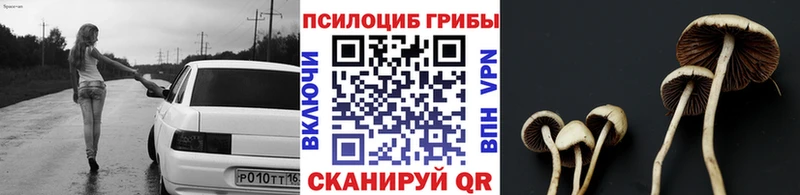 Псилоцибиновые грибы Cubensis  OMG ссылка  Искитим  сколько стоит 